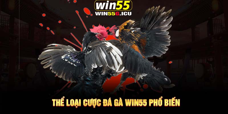 Thể loại cược đá gà Win55 phổ biến