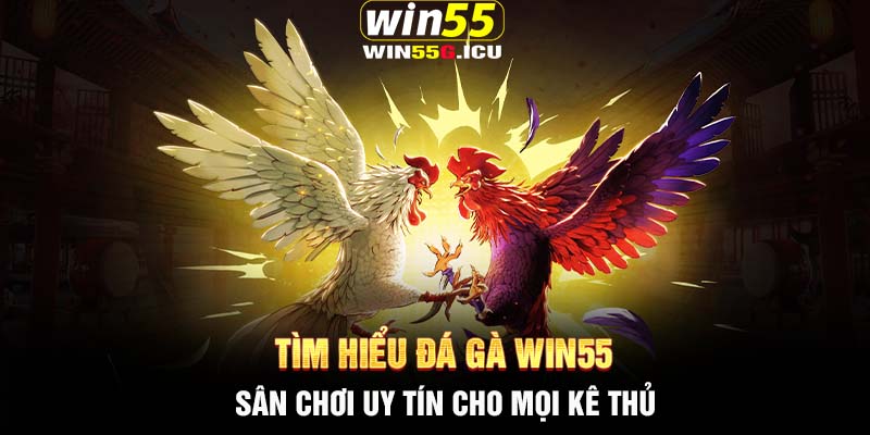 Tìm hiểu đá gà Win55 – Sân chơi uy tín cho mọi kê thủ